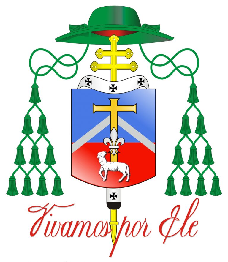 BRASAO BISPO Dom Jose Francisco JPG Final 768x882 1